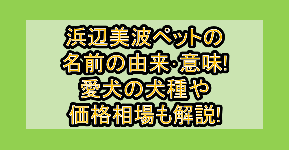 浜辺美波ペットの名前の由来・意味!愛犬の犬種や価格相場も解説!