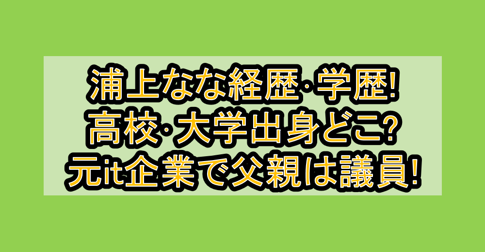浦上なな経歴・学歴!高校・大学出身どこ?元it企業で父親は議員!