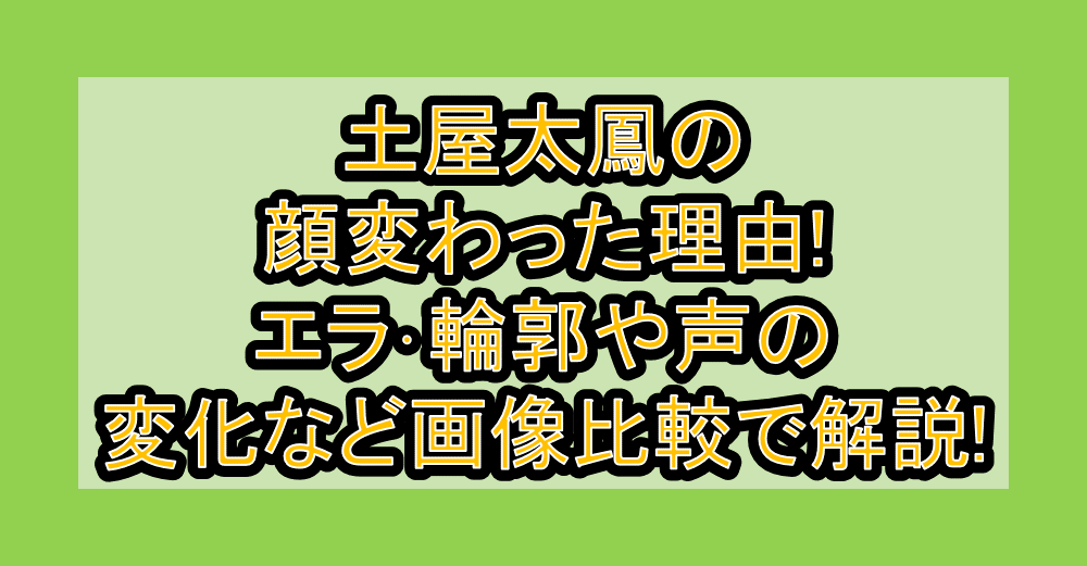 土屋太鳳の顔変わった理由!エラ・輪郭や声の変化など画像比較で解説!