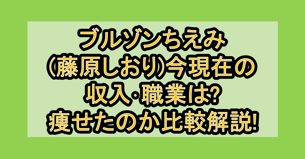 ブルゾンちえみ(藤原しおり)今現在の収入・職業は?痩せたのか比較解説!